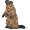 Image de COLLECTA Figurine - Marmot - (S) - Wilde Dieren - Handgeschilderd - Miniatuur