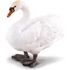 Image de COLLECTA Figurine - Zwaan - (M)