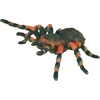 Image de COLLECTA Figurine - Mexicaanse Vogelspin - (L)