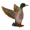 Image de COLLECTA Figurine - Wilde Eend - (S)