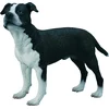 Image de COLLECTA Figurine - American Staffordshire - (L)