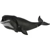 Image de COLLECTA Figurine - Groenlandse Walvis - (Xl) - Zeedieren - Handgeschilderd - Miniatuur