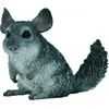 Image de COLLECTA Figurine - Chinchilla - (M)