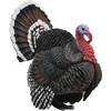 Image de COLLECTA Figurine - Kalkoen - (L) - Boerderijdieren - Handgeschilderd - Miniatuur