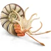 Image de COLLECTA Figurine - Pleuroceras Ammoniet - (Xl) - Prehistorie - Handgeschilderd - Miniatuur