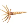Image de COLLECTA Figurine - Orthoceras - (L) - Prehistorie - Handgeschilderd - Miniatuur