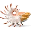 Image de COLLECTA Figurine - Cooperoceras - (Xl) - Prehistorie - Handgeschilderd - Miniatuur