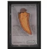 Image de COLLECTA Figurine Gift Set - T-Rex Tand - Prehistorie - Handgeschilderd - Miniatuur