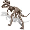 Image de 4M - STEAM toys - 4M Kidzlabs Dinosaur Graaf Je Dinosaurus Op Tyrannosaurus Rex