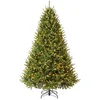 Image de Evergreen - PGTG76P4B42L03 - Kunstkerstboom Richmond spar | incl. leds