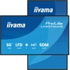Image de Monitor Iiyama LH5075UHS-B2AG 49,5" 4K Ultra HD