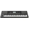 Image de Korg PA300 Professional Arranger entertainer keyboard