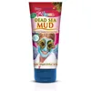 Image de Mud dead sea mask 100 gr