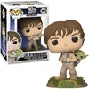 Image de Figurine Funko Pop! Star Wars: ESB- Training Luke with Yoda en occasion ou reconditionné
