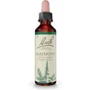 Image de Fleurs de Bach Original Agrimonie 20 ml