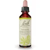 Image de Fleurs de Bach Original Witte Kastanje 20 ml