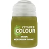 Image de Citadel   Paint   Shade Mortarion   24-32