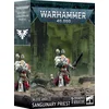 Image de Blood Angels Sanguinary Priest