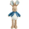 Image de Pieter Konijn - Knuffel
