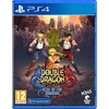 Image de Double Dragon Gaiden: Rise of the Dragons - PS4