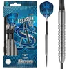 Image de ASSASSIN STANDARD 80% TUNGSTEN 21GR