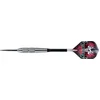 Image de Assassin Heavy 80% Tungsten 28Gr