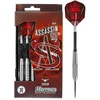 Image de Assassin Heavy 80% Tungsten 30Gr