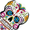 Image de Harrows Quadro Grafiti Skull - Dart Flights