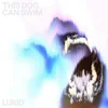 Image de Lukid - This Dog Can Swim (12" Single)