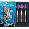 Image de Red Dragon Peter Wright Snakebite 1 - Soft Tip Darts
