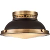 Image de Hinkley LED Plafondlamp Amelia | 2X E27 Max 40W | Dimbaar | Buckeye Bronze/Restoration Bronze