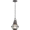 Image de Hanglamp - Steady Lighting - Metaal -  - E27 - L: 17.8cm - Voor Buiten - Woonkamer - Eetkamer - Zinc