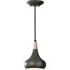 Image de Feiss LED Hanglamp Beso | 1X E27 Max 60W | Dimbaar | Dark Bronze