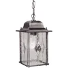 Image de Elstead Lighting LED Buiten Hanglamp Wexford | 1X E27 Max 60W | Dimbaar | Black/Silver