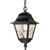 Image de Elstead Lighting LED Buiten Hanglamp Norfolk | 1X E27 Max 60W | IP44 | Dimbaar | Black