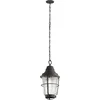 Image de Kichler LED Buiten Hanglamp Chance Harbor | 1X E27 Max 60W | IP44 | Dimbaar | Weathered Zinc