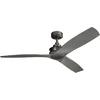 Image de Plafondventilator met verlichting - Ried - 56in / 142cm ventilator - aambeeldijzer