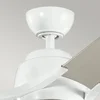 Image de Plafondventilator met verlichting - Zeus - 60in / 152cm ventilator - wit