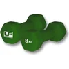 Image de Urban Fitness Hex Dumbbells - Neopreen Bekleed (Paar) Fles - 8kg