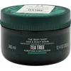 Image de Tea Tree Purifying & Balancing Hair & Scalp Scrub ( Mastné Vlasy + Poko ka Hlavy ) -  isticí + Vyrovnávající Peeling