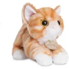Image de Aurora Miyoni Kat Oranje/wit 20 Cm