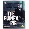 Image de Guinea Pig