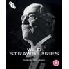 Image de Wild Strawberries