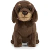 Image de Living Nature Knuffel Teckel, 15 cm