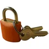Image de Hangsloten 12 stuks - Kluisjes hangslot met 2 sleutels