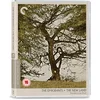 Image de New Land/ The Emigrants (Criterion Collection) - Blu-Ray