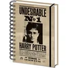 Image de HARRY POTTER - Sirius & Harry Potter Notitieboek A5 3D