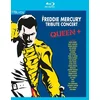 Image de Freddie Mercury Tribute Concert (Blu-ray)
