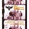 Image de Black Crowes - Freak 'N' Roll... Into The Fog