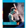 Image de Peter Gabriel - Secret World (Blu-ray)